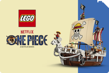 LEGO® One Piece